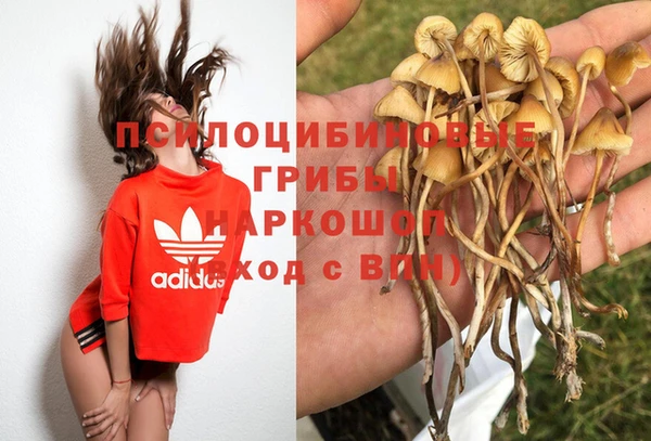 стафф Надым