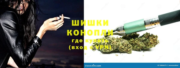 гашик Нефтекумск