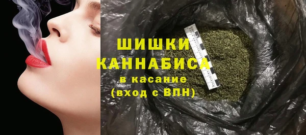 стафф Надым